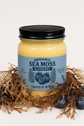 A jar candle labeled 'Organic Sea Moss Blueberry' by Created by De'Nese, filled with pale yellow wax and topped with a black lid, styled with blueberries and green leaves on a white background.