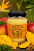A jar candle labeled 'Organic Sea Moss Mango' by Created by De'Nese, styled with fresh mango slices and a whole mango on a clean white background.